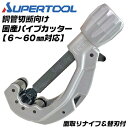 bstl:10001136のサンプル画像1