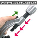 bstl:10001136のサンプル画像3