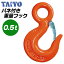 大洋製器工業 重量フックバネ付 使用荷重 0.5t アイフック 先端吊り具 ラッチ付 玉掛け 鍛造品 ワイヤ ..