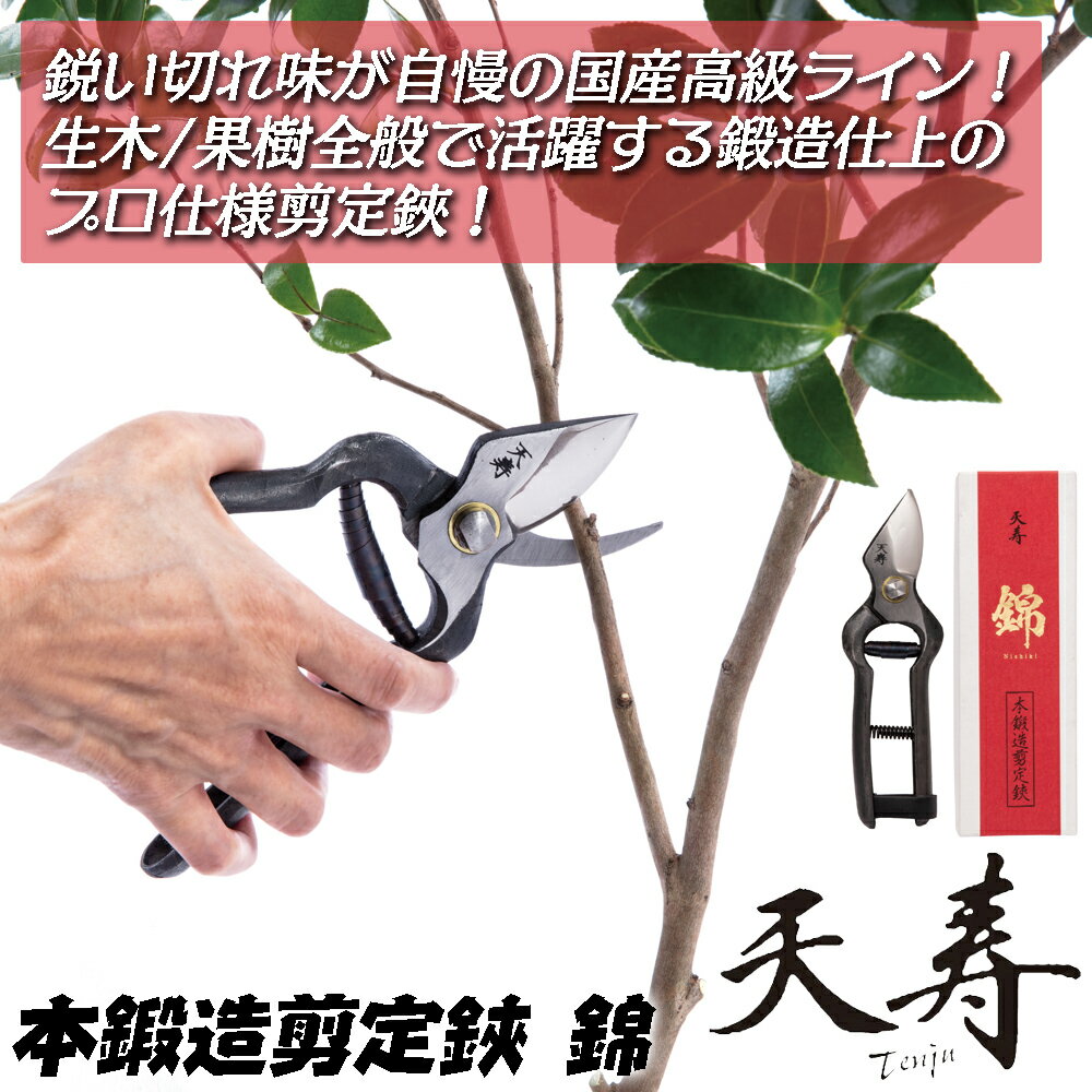 商品情報メーカー天寿品番-仕様・スペック【全長】190mm【刃長】60mm【仕様】鍛造品【重量】257g【生産国】日本■プロの造園業者・庭師・農業従事者から愛用される抜群の切れ味と使い心地が自慢の、本鍛造製法で製造されたワンランク上のプロ仕様剪定鋏錦！●鋭い切れ味とグリップ感に拘ったハイランクレベルの剪定鋏に仕上げました。●刃の峰は厚く、刃先は剃刀のように薄いため切れ味抜群でありながら高耐久性も兼ね備えています！●刃の食い込みと抜けが良いのも連続作業において快適です。●庭木の剪定を行う造園業者さんから生木・果樹の剪定や収穫作業に最適です。●花や枝のカットも快適に行えるのでフラワーアレンジメントや生け花にも適しています。●プロが愛用する切れ味を趣味のガーデニングや園芸でもお試しいただけます。●鉄を熱くし赤らめてからハンマーで鍛え上げる鍛造で作られた鋏です。国内の職人さんが1本ずつ丁寧に製造して作られる切れ味抜群の鋏に仕上げています。●鋏の管理に便利な箱・ケース付。プロユーザーはもちろん、贈り物・ギフト・プレゼント等にも最適な職人作の日本製鋏となっています。熟練の職人が鍛造製法で1本ずつ丁寧に仕上げた兵庫県三木市発のプロ仕様鍛造剪定鋏「錦」！プロの造園業者・庭師から農業従事者から愛用される、鋭い切れ味と抜群の使い勝手が自慢の国産ハイクラス園芸鋏！ 【プロユーザー志向の本格剪定鋏！日用使いでもギフトやプレゼントにも最適！】 2