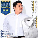 大きいサイズ メンズ オールシーズン対応 綿100% 形態安定 レギュラーカラー 長袖 ワイシャツ カッターシャツ LL 3L 4L 5L 6L 7L 8L 9...