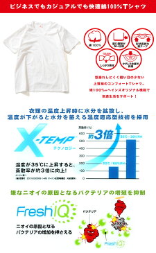 最大2000円offクーポンあり■Vネック 半袖 Tシャツ 2枚セット 大きいサイズ メンズ ビジカジ魂 綿100％ 抗菌防臭 アンダーシャツ インナー アンダーウェア ホワイト/ブラック 3L 4L Hanes ヘインズ