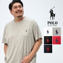  TVc 傫TCY Y 100 |Cg |Pbg Rbg zCg ubN bh lCr[ 2XB 3XB 4XB 5XB POLO RALPH LAUREN |t[