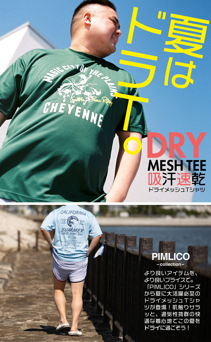 最大2000円offクーポン配布中■大きいサイズ メンズ Tシャツ メンズ 夏 半袖 DRYメッシュ Tシャツ プリント クルーネック XL LLサイズ 3L 4L 5L 6L 7L 8L 吸汗速乾 tシャツ 大きいサイズTシャツのサカゼン