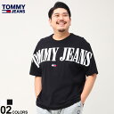 g~[W[Y  TVc 傫TCY Y 100 N[lbN SKATER ARCHIVE N[ zCg ubN 1XL 2XL TOMMY JEANS