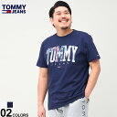 トミージーンズ 半袖 Tシャツ 大きいサイズ メンズ チェックロゴ クルーネック CLSC TARTAN TOMMY TEE クルー ホワイト ネイビー 1XL 2XL TOMMY JEANS