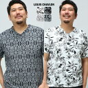 半袖 Tシャツ 大きいサイズ メンズ 消臭抗菌 総柄プリント Vネック プリント 3L 4L 5L LOUIS CHAVLON ルイシャブロン