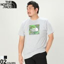 m[XtFCX  TVc 傫TCY Y BOXS N[lbN BOXED TEE Rbg CgO[ ubN 1XL 2XL THE NORTH FACE