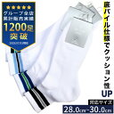 ソックス 大きいサイズ メンズ 底パイル 3ライン ショート丈 クォーターソックス ブラック グリーン ブルー サックス B&T CLUB ビーアンドティークラ...