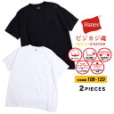 クルーネック 半袖 Tシャツ 2枚セット 大きいサイズ メンズ ビジカジ魂 綿100％ 抗菌防臭 アンダーシャツ インナー アンダーウェア ホワイト/ブラック 3L 4L Hanes ヘインズ