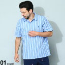 POLO RALPH LAUREN |t[ XgCv TbJ[  Vc uh Y j gbvX Vc Vc t  RL710899564