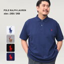  |Vc 傫TCY Y |Cg t  zCg O[ ubN lCr[ POLO RALPH LAUREN | t[