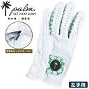 エントリーでさらにポイント+4倍 左手用グローブ 大きいサイズ メンズ GOLF クローバー柄 GET LUCKY GLOVE ゴルフ 手袋 レザー ホワイト palm パーム