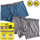 【2点で10%OFFクーポン対象】ボクサーパンツ 大きいサイズ メンズ ジャスポジ カチオン杢 前開き ホールド スポーツ グレー ネイビー 5L 6L as ...