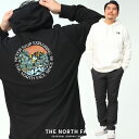 m[XtFCX p[J[ 傫TCY Y obNvg vI[o[ SEASONAL GRAPHIC HOODIE XEFbg  THE NORTH FACE OtBbN t[fB[