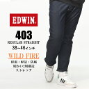 EDWIN GhEB W[Y 傫TCY Y JERSEYS WILDFIRE W[W[Y Xgb` WbvtC pc W[p fj CfBSu[   JMH03W-1200 M[Xg[g ҏ[ ۉ N