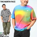  TVc 傫TCY Y Rbg N[lbN Men's Aop Box Fit Tee   mN THE NORTH FACE U m[XtFCX uh ێ S Jt }[u