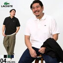 LACOSTE RXe |Vc j hJ by n CLASSICFIT CORE ESSENTIALS POLO L1212D22 gbvX 傫TCY Y  