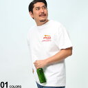 【クーポン利用で300円引き】【EC限定価格】IN-N-OUT BURGER インアンドアウトバーガー クルーネック 半袖 Tシャツ 2XL 3XL 大きいサイ...