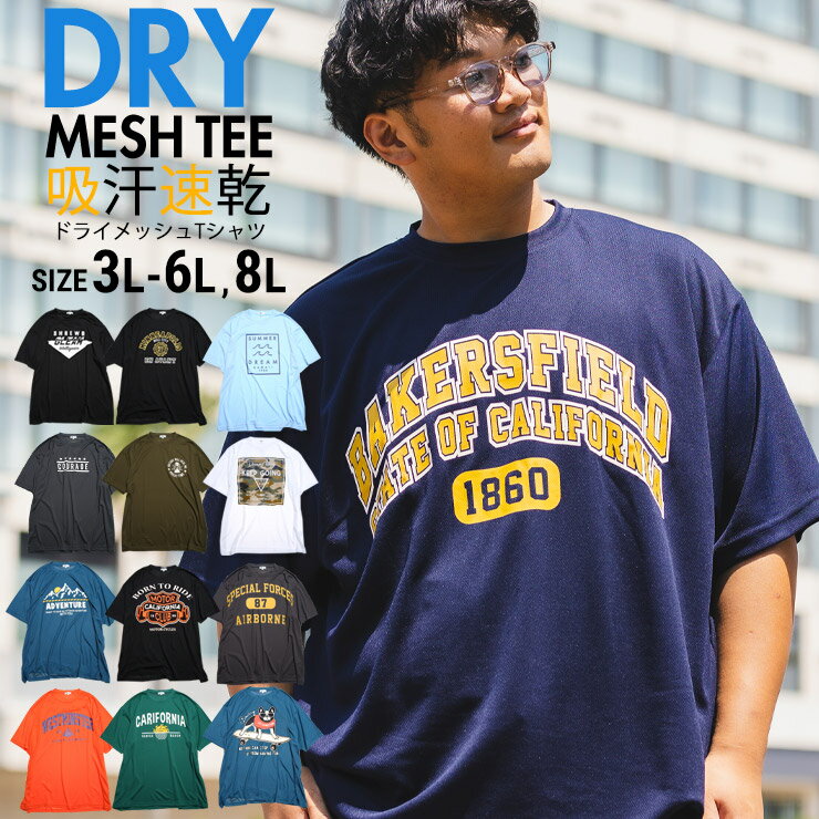 半袖 Tシャツ 大きいサイズ ビッグT Big メンズ DRYメッシュ ドライメッシュ 吸水速乾 涼しい 夏 フェス キャンプ アウトドア アメカジ プリント クルーネック PIMLICO ピムリコ sclt 人気 新作