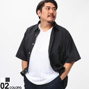 半袖 2点セット LOUIS CHAVLON (ルイシャブロン) 3L 4L 白 黒 Vネック 半袖 Tシャツ×ストライプ 半袖 アンサンブルシャツ 2枚セット...