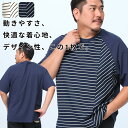 【10%OFFクーポン対象】ボーダー切替 ラグラン Tシャツ 3L 4L 5L 6L 7L 相当 大きいサイズ メンズ 5分袖 クルーネック アイボリー ネイビー