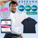 【ポイント10倍】半袖 ポロシャツ ASERUNA アセルナ ドライメッシュ ボタンダウン ストレッチ クールビズ 春 夏 大きいサイズ メンズ ビジネス ホワ...
