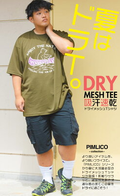 WEB限定 半袖 Tシャツ 3L 4L 5L 6L 8L 送料無料 ドライメッシュ 吸水速乾 プリント ロゴT カレッジ バックプリント オーバーサイズ ゆったり スポーツ トップス トレーニングウェア アウトドア PIMLICO ピムリコ sclt 人気 新作大きいサイズ メンズ - Image 3