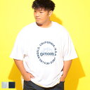 半袖 Tシャツ サークルロゴ クルーネック 3L 4L 5L 6L 大きいサイズ メンズ トップス Tシャツ コットン プリント 春 夏 OUTDOOR PRODUCTS アウトドアプロダクツ