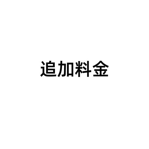 追加料金専用 追加料金専用