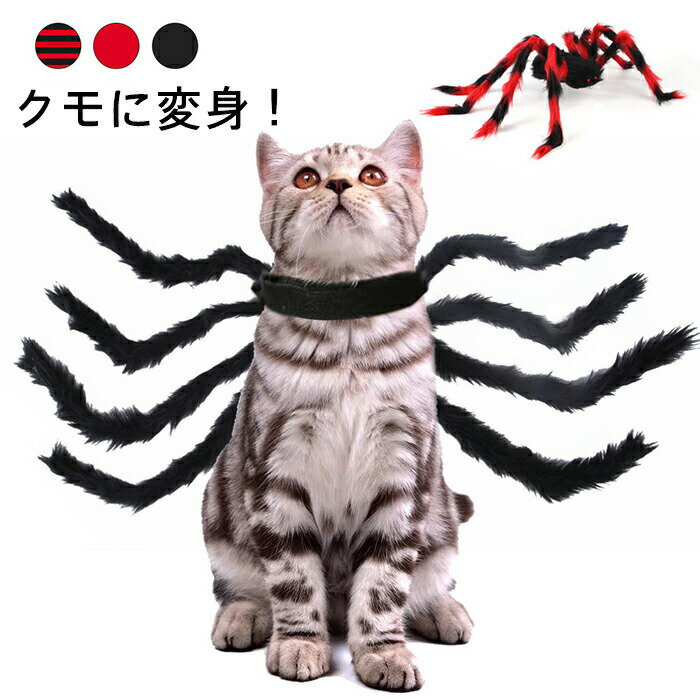 ペットコスプレ 猫 犬 クモ変身 犬用 蜘蛛 コスチューム クモの足 ハロウイン変 くも 黒 かわいい かっ..
