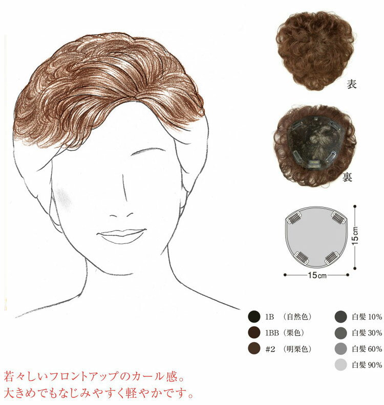 レオンカ ウィッグ ［ LEONKA ］ ハイパック Nシリーズ ネットタイプ SF-N35 白髪10％(自然色に白髪10％入り)【 業務用 】【 かつら ウィッグ ウイッグ つけ毛 女性用 医療用 販売 専門店 】【 サロン専売品 美容室 美容院 美容師 】【BS】