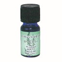 エッセンシャルオイル 10ml ローズマリー 【BS】