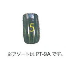 P9AC-5 ץߥꥢåץ ˥塼A ꥢ 50P BS