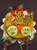 【クリスマス 犬用 ケーキ】クリスマスケーキ　12cm（ワンコケーキ　犬用ケーキ　　犬のおやつ　犬のお祝い　犬のプレゼント）☆お届けは12月22日前後のお届けになります☆