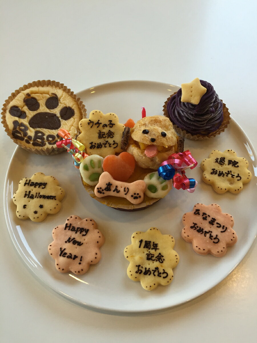 ���ѥ����� ���塼���꡼��Υץ���������3�����åȸ������ ������ ���� �ץ������� �ɥå������� ������� ���� ��󥳥����� ���ѥ����� ���������� ���� ���������å� ���襤�� ������� �İ��� �Ǥ� ���Τ���� ���ˤ� �ڥåȥ����� ���Υץ쥼��� �ڥå�