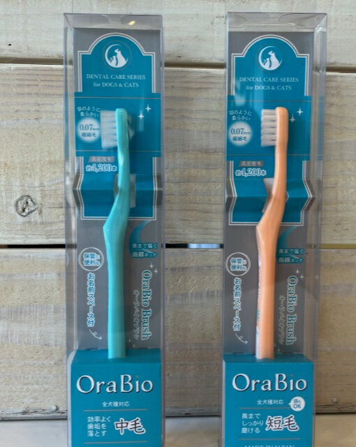OraBio Brush