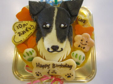 似顔絵ケーキ♪米粉18顔1個(お誕生日ケーキ ワンコケーキ 犬用ケーキ 犬の誕生日 犬のおやつ 犬ケーキ 犬のお祝い 犬のプレゼント 手作り プレゼント 似顔絵 ペット バースデーケーキ インスタ映え 大きいケーキ)12/20〜24日のお届け不可