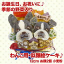 zebra＆Big heart　4号12cm　犬用ケーキ　犬用お誕生日ケーキ　ドッグケーキ　わんこケーキ