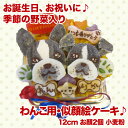 似顔絵ケーキ♪12cm 顔2個(お誕生日ケーキ ワンコケーキ 犬用ケーキ 犬の誕生日 犬のおやつ 犬ケーキ 犬のお祝い 犬のプレゼント 手作り プレゼント お祝...