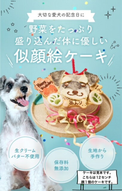 DogLabBUBBLEBOOの似顔絵ケーキ♪米粉使用12cm 顔2個（お誕生日ケーキ　犬 ケーキ　ワンコケーキ　犬用ケーキ　犬の誕生日　犬のおやつ　犬ケーキ　犬のお祝い　犬のプレゼント　手作り　プレゼント　似顔絵　ペット　バースデーケーキ　インスタ映え）｜アングル3