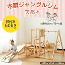 【11%OFFクーポン配布中】ジャングルジム 天然木 すべり台 滑り台 屋内 室内用 室内遊具 キッズ 子供 誕生日プレゼント おもちゃ