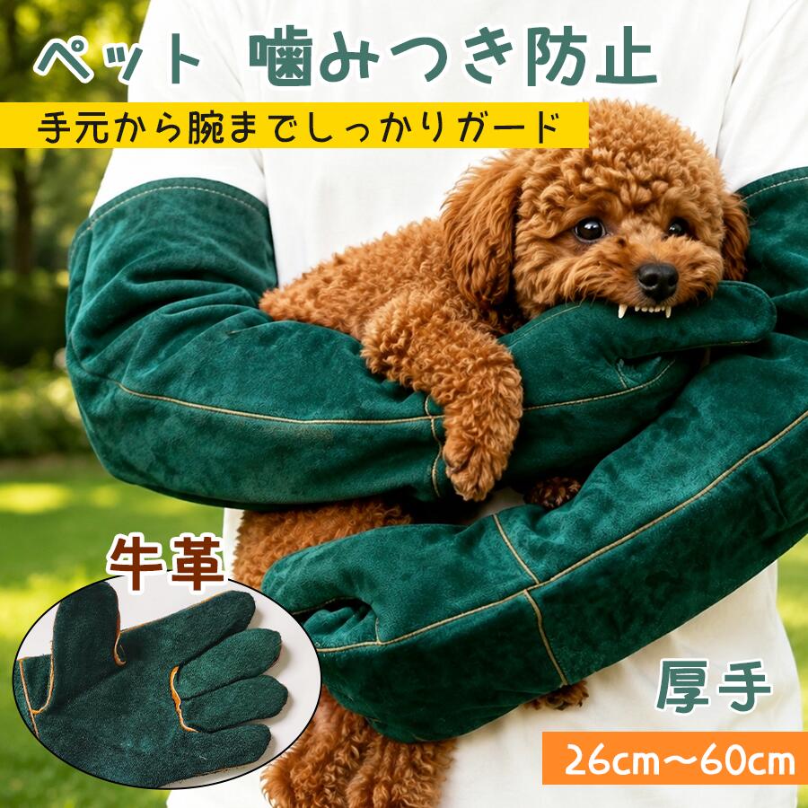 メーカー希望小売価格はメーカーカタログに基づいて掲載しています ペット用防護グローブ 噛みつき・引っかき対策に 手元から腕までしっかりガード サイズ展開 26cm / 28cm / 35cm / 40cm / 60cm ペットの大きさや用途に合わせて選べます 特徴 ・厚手の二重構造でしっかり保護 ・手のひらから腕までカバーするロングタイプ ・猫・犬のお手入れやトレーニングに便利 ・丈夫で破れにくい設計 防護設計 丈夫な生地を二重に重ねた安心構造。 爪切り、ブラッシング、投薬など ペットのお世話時の引っかき・噛みつきリスクを軽減します。 こんな時におすすめ ・爪切りで引っかかれてしまう ・薬を飲ませる時が心配 ・お手入れ中に暴れてしまう ・大型犬のトレーニングをしたい サイズ目安 26cm：小動物向け 28cm：幼猫・幼犬・小型犬向け 35cm：成猫・中小型犬向け 40cm：中型犬・力の強い犬向け 60cm：大型犬・広範囲の保護におすすめ 多用途 ペットのお世話だけでなく、 ・ブラッシング・爪切り・投薬 ・ペットトレーニング ・バーベキュー ・作業時の手や腕の保護 など幅広く活用できます。 注意事項 ※本製品は完全に噛みつきを防ぐものではありません。 ※ペットの性格や力によっては生地が傷つく場合があります。 ※使用前に破れやほつれがないか確認してください。