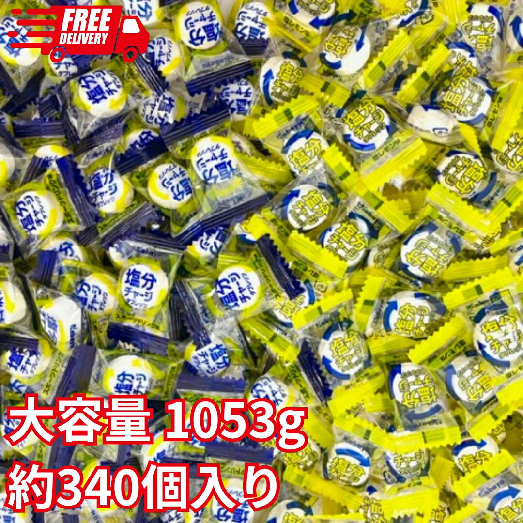 カバヤ 塩分チャージタブレッツ 大容量 1053g 約340個入り 2種アソート スポーツドリンク味 塩レモン味 熱中症対策 業務用 塩分タブレット クエン酸 カリウム 塩分補給 水分補給 清涼菓子 熱中症予防 部活動 外遊び 遠足 運動会 塩分 カリウム 日本学校保健会推薦のサムネイル