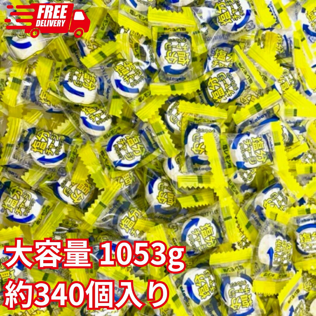 カバヤ 塩分チャージタブレッツ 大容量 1053g 約340個入り 塩レモン味 熱中症対策 業務用  ...