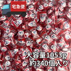 カバヤ 塩分チャージタブレッツ 梅味 大容量 1053g 約340個入り 熱中症対策 業務用 塩分タブレット 塩タブレット クエン酸 カリウム