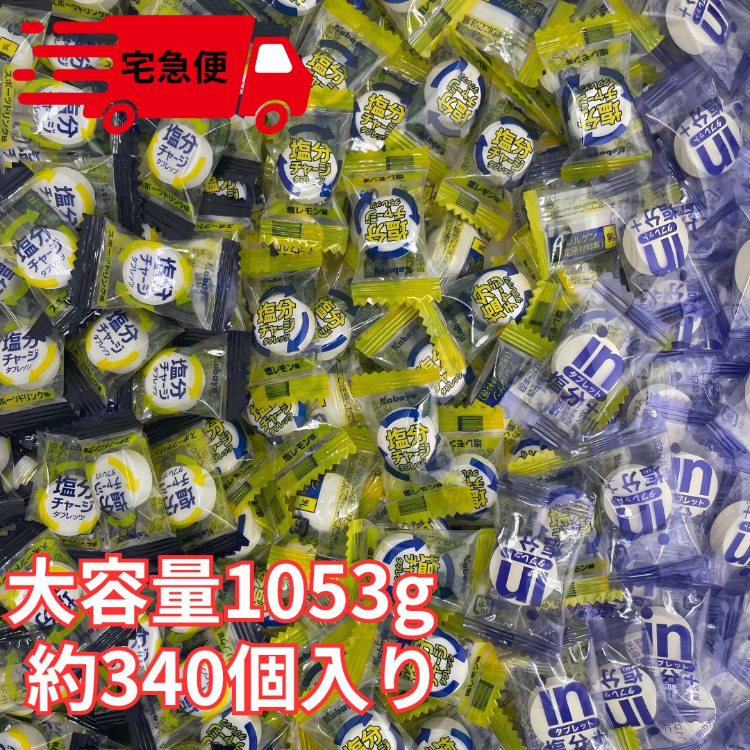 3種アソート 塩分チャージタブレッツ 大容量 1053g 約340個入り スポーツドリンク味 塩レモン味 INタブレット塩分プラス 熱中症対策 業務用 塩分タブレット クエン酸 カリウム 塩分補給 水分補給 清涼菓子 熱中症予防 部活動 外遊び 遠足 運動会 日本学校保健会 カバヤ 森永