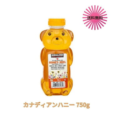 カークランド 100% カナディアンハニー 750g 1本 コストコ　はちみつ 食品 コストコ通販 KIRKLAND くま 容器