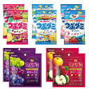 つぶグミ 5種各2個10個セット つぶグミ つぶグミソーダ つぶグミヨーグルト プレミアム濃厚ぶどう プレミアム濃厚りんご グミ 詰め合わせ 食べ比べ 食べ試し アソート セット