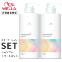 【 ポンプ セット 】WELLA プロフェッショナル カラーモーション+ シャンプー 500ml　+　トリートメント 500ml　カラーモーションプラス ウェラ プロフェッショナル カラー シャンプー コンディショナー トリートメント カラーヘア カラーヘアー ダメージ 補修 保護